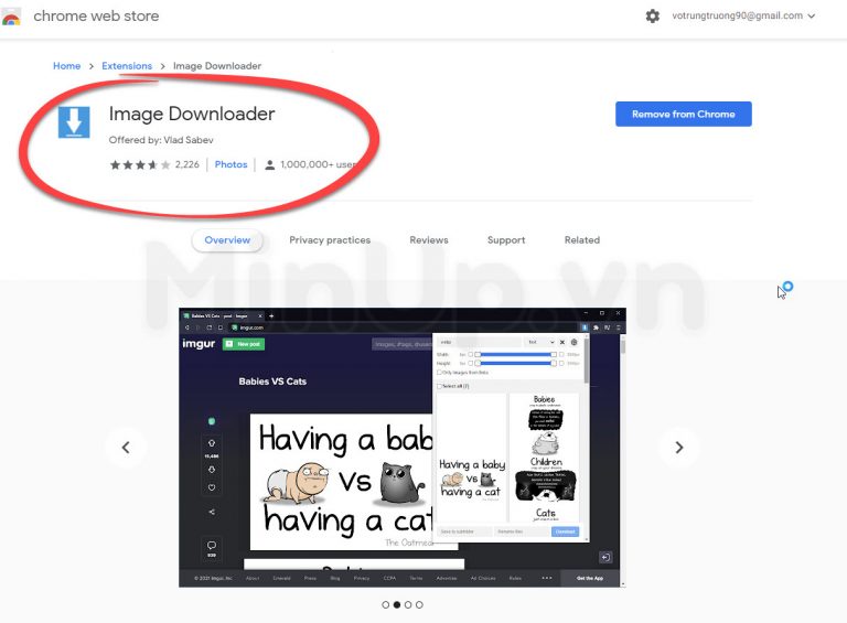 real downloader not working in chrome